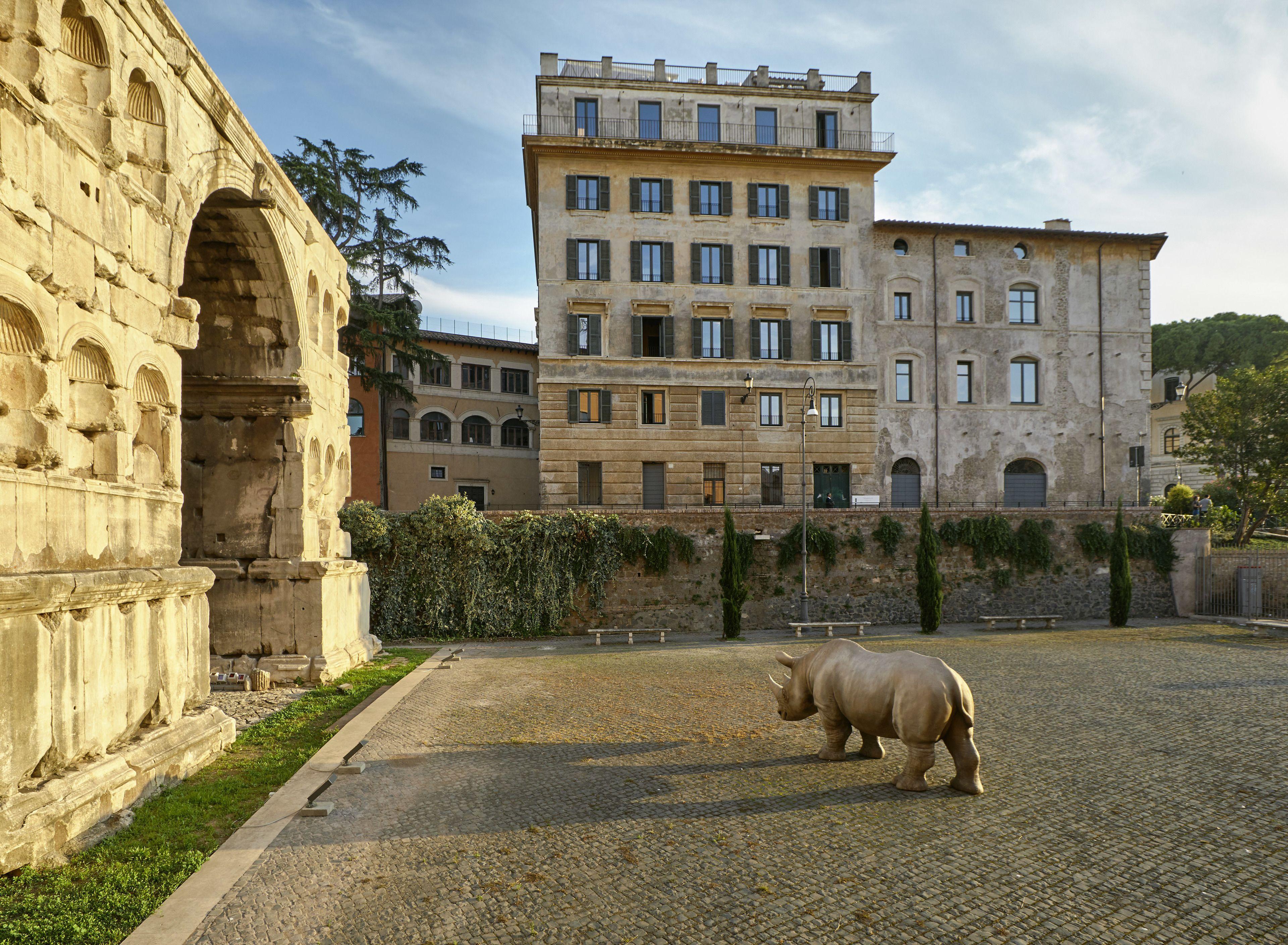 Rhinoceros — Foto 1